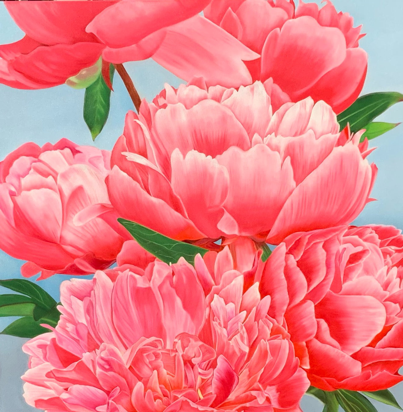 Pink Escapade II - Original Oil Painting by Shobika