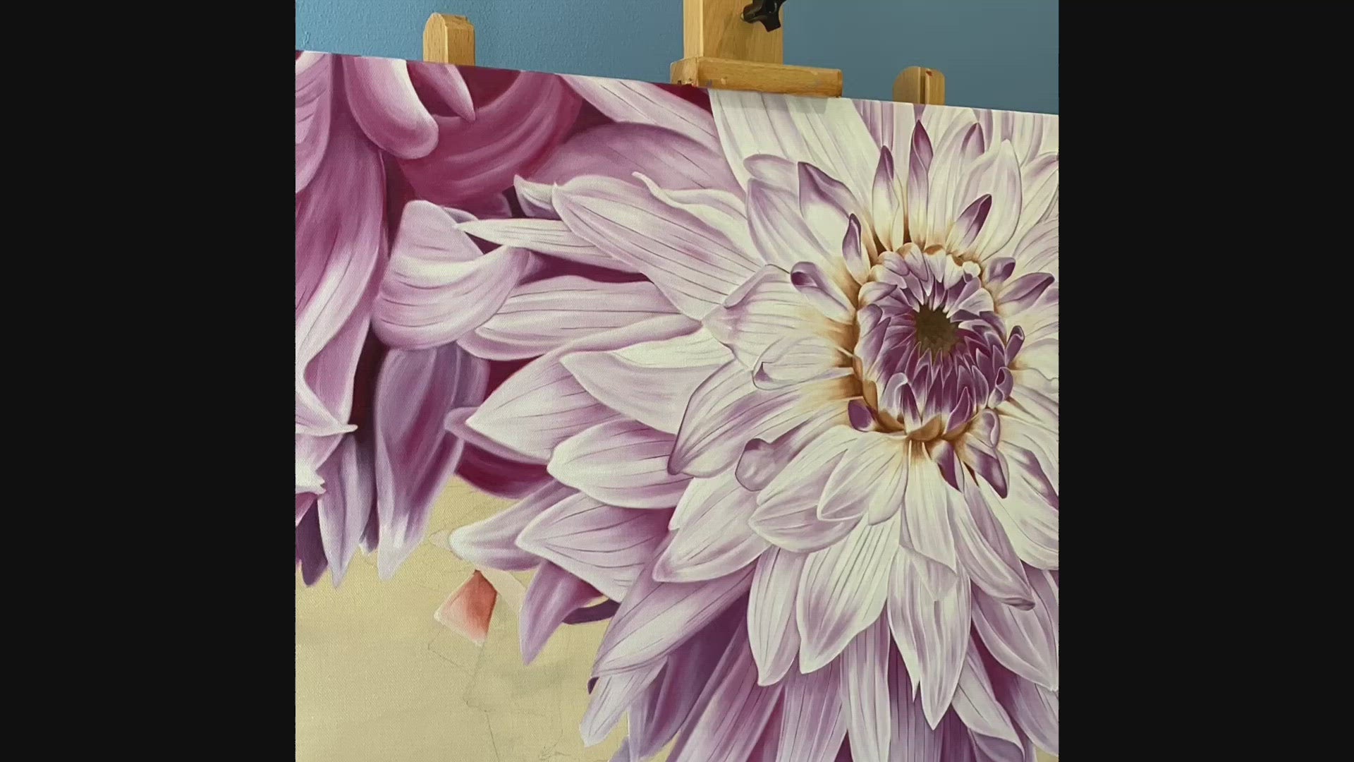 purple dahlia video
