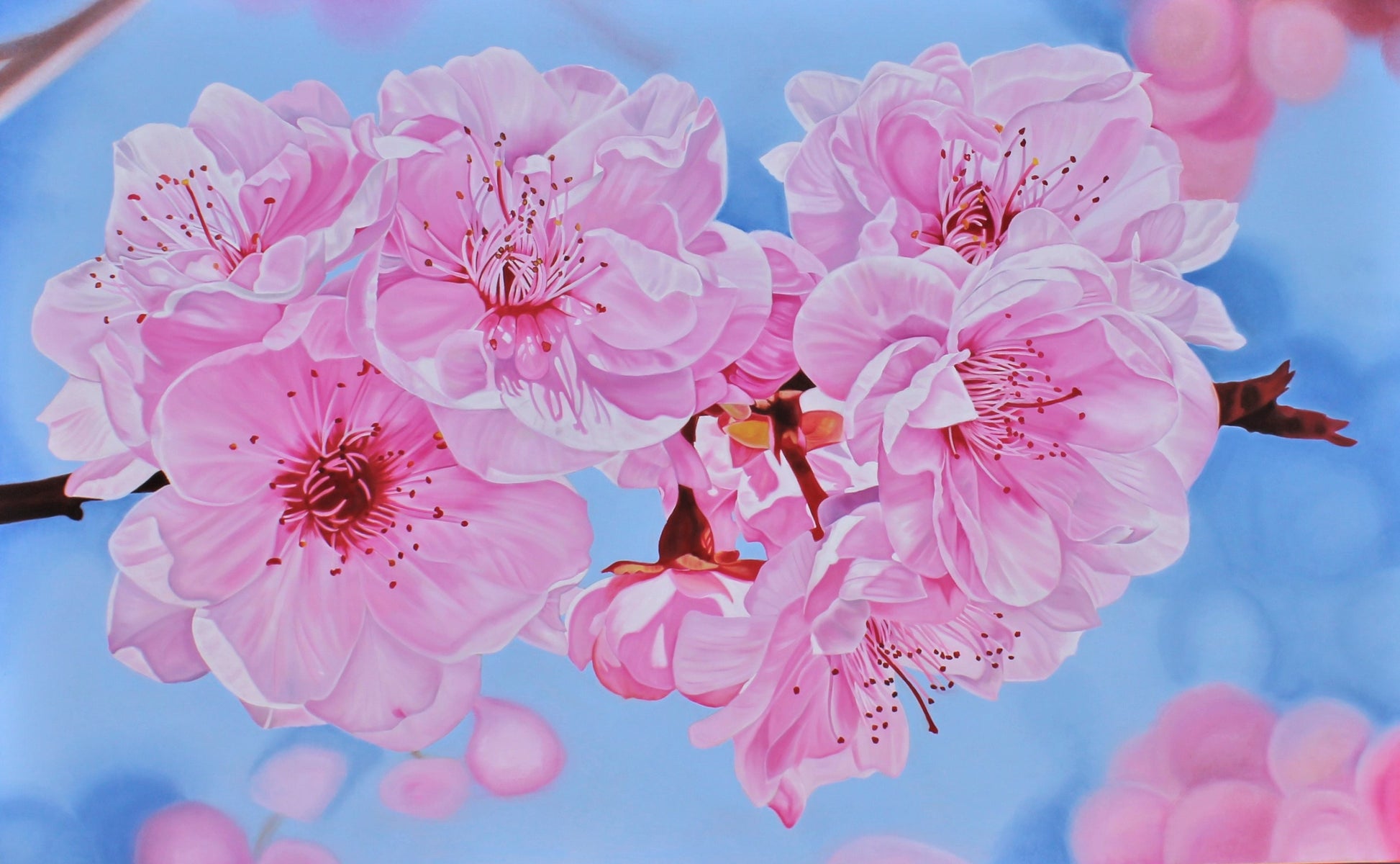 Prints of Originals - Cherry Blossoms
