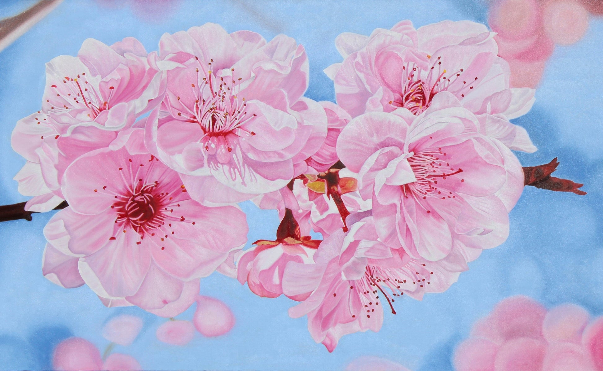 Floral Artwork Cherry Blossoms I - Original Oil Painting by Shobika
