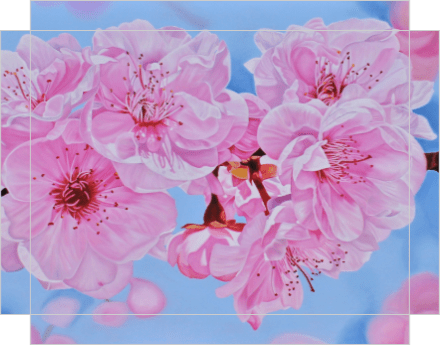 Floral Artwork Cherry Blossoms I - Original Oil Painting by Shobika