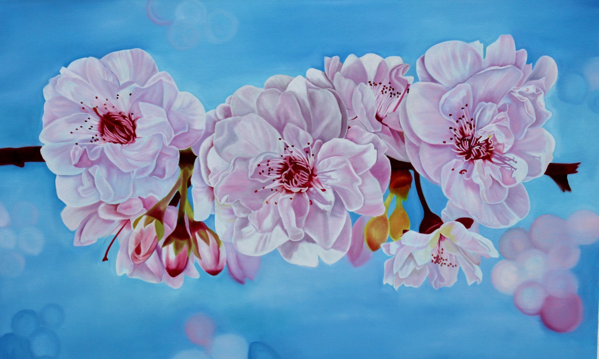 cherry blossoms paintings